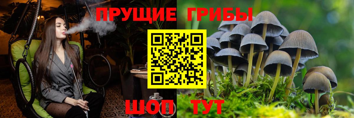 Псилоцибиновые грибы Magic Shrooms Салехард